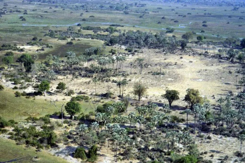 OkavangoDelta2.jpg