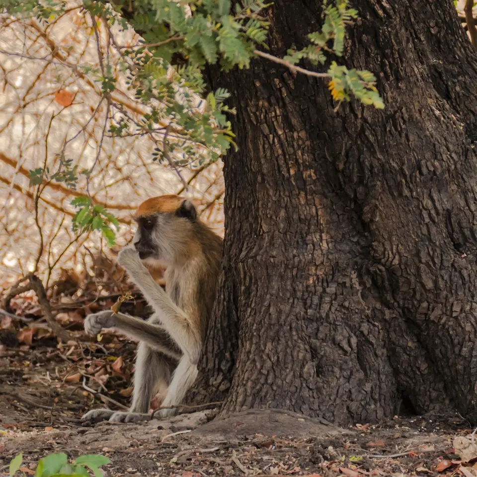 _1560813.jpg