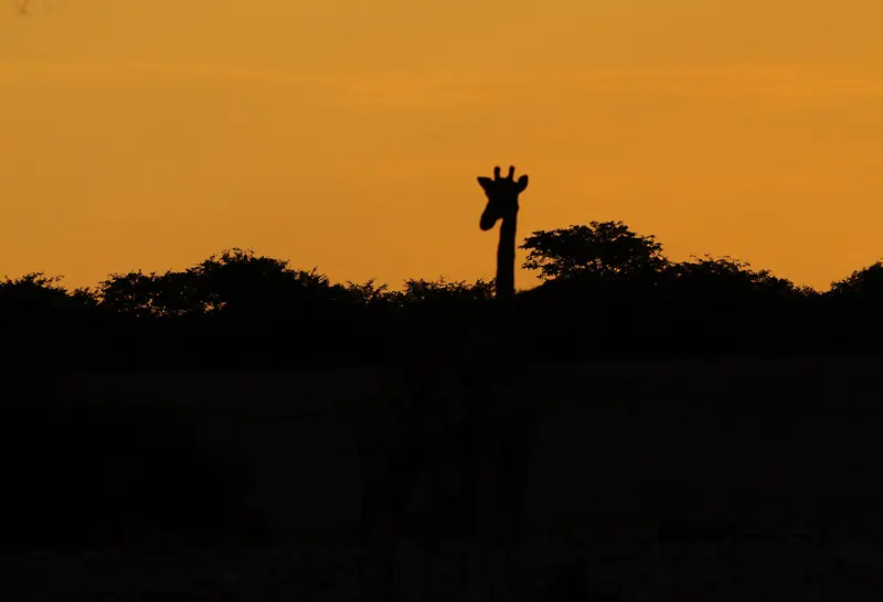 DSC_0008-2.jpg