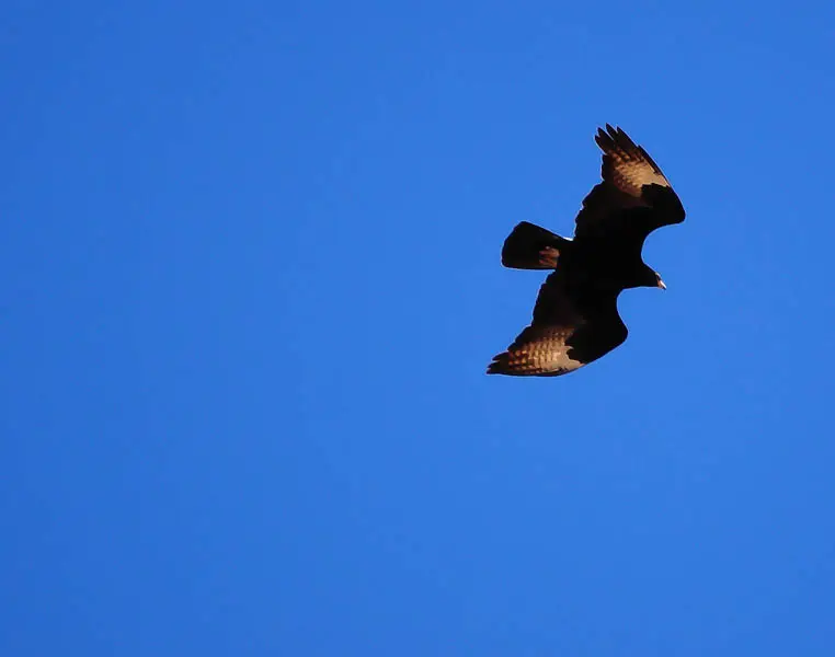 DSC_0018.jpg