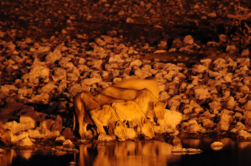 DSC_0052-2.jpg