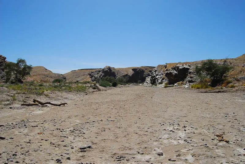 DSC_0123.jpg