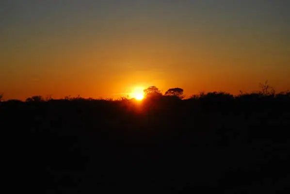 bock-5_2011-12-03.jpg