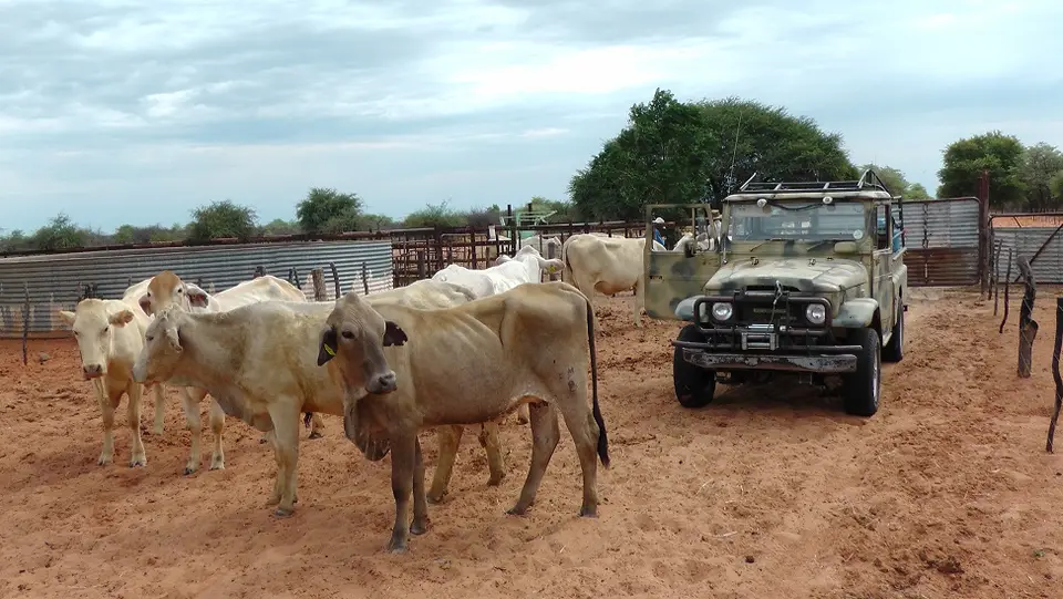 Namibia2011018.jpg
