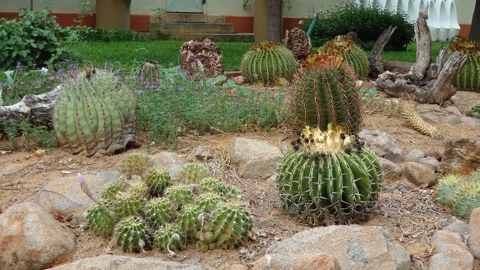 Namibia2011046.jpg