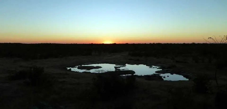 21SunsetMoringa.jpg