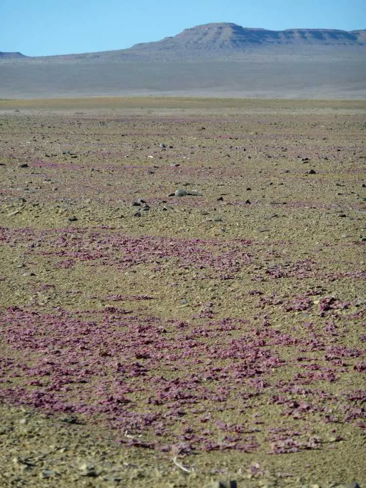 C37-Landschaft1.jpg