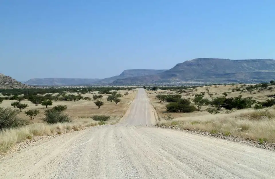 C391.jpg