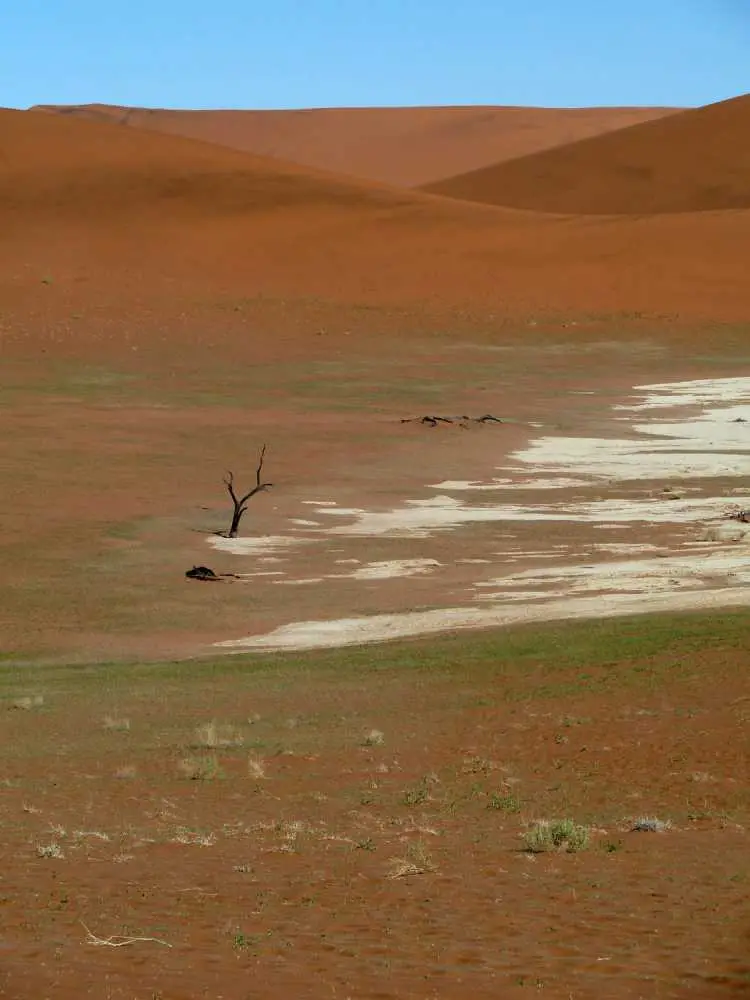 DeadVlei2.jpg