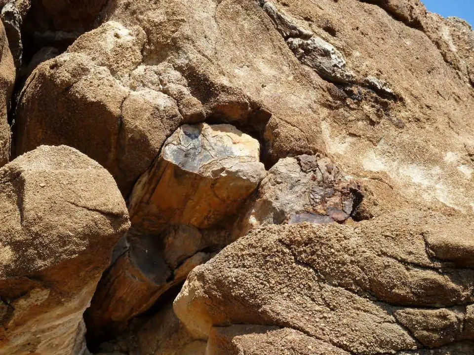 PetrifiedForest2.jpg