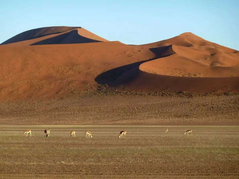 Sossusvlei08.jpg