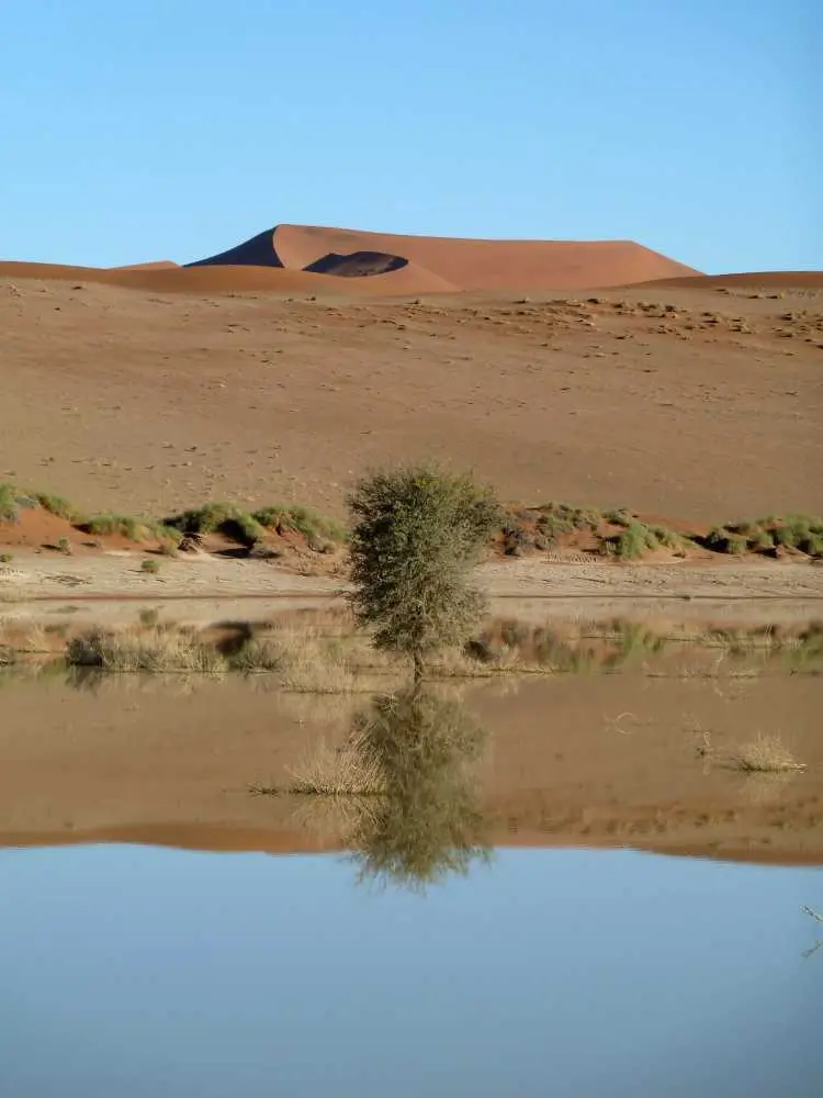Sossusvlei10.jpg
