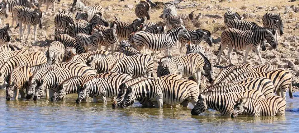 Namibiabestofjpg105.JPG