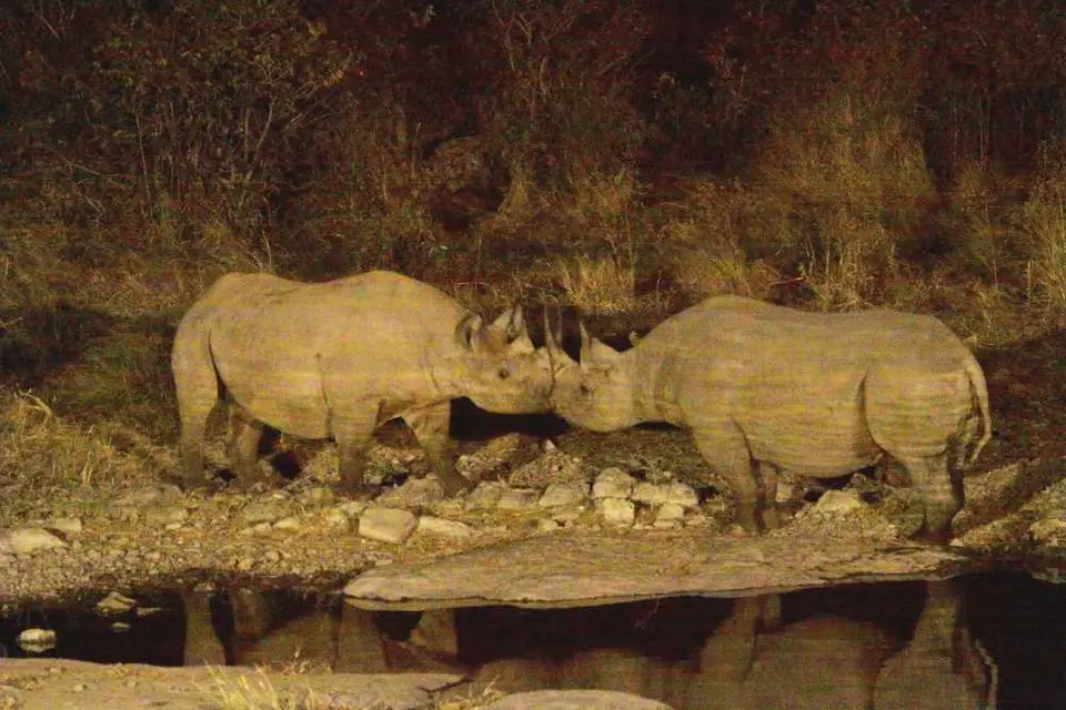 Namibiabestofjpg873.JPG
