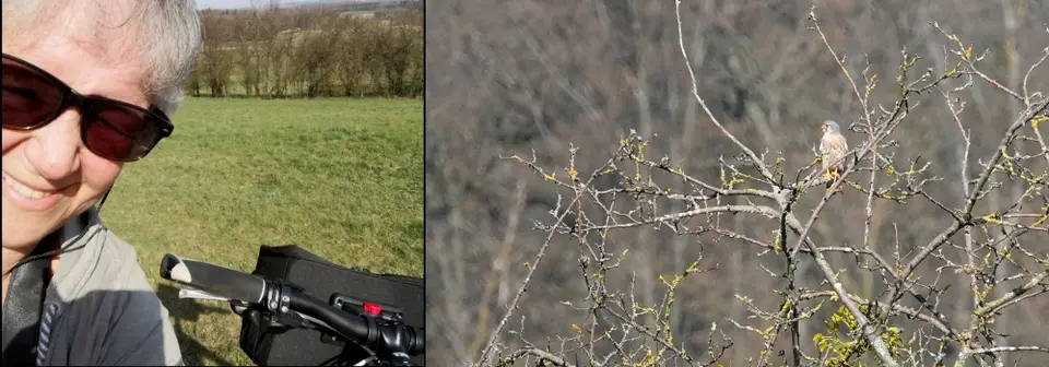 Berti0k.JPG