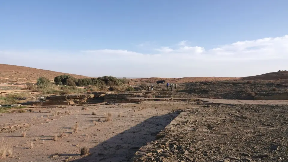 DSC00844.jpg