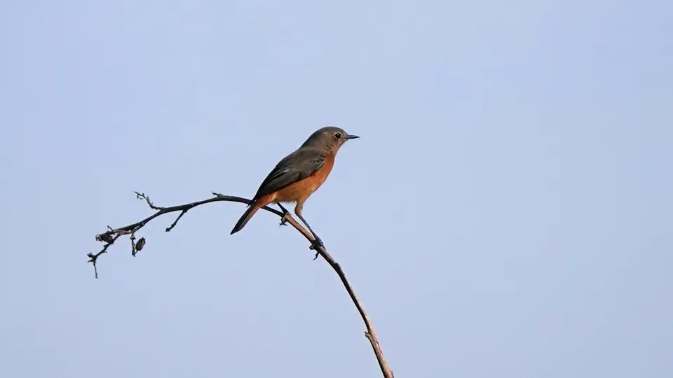DSC01624.jpg