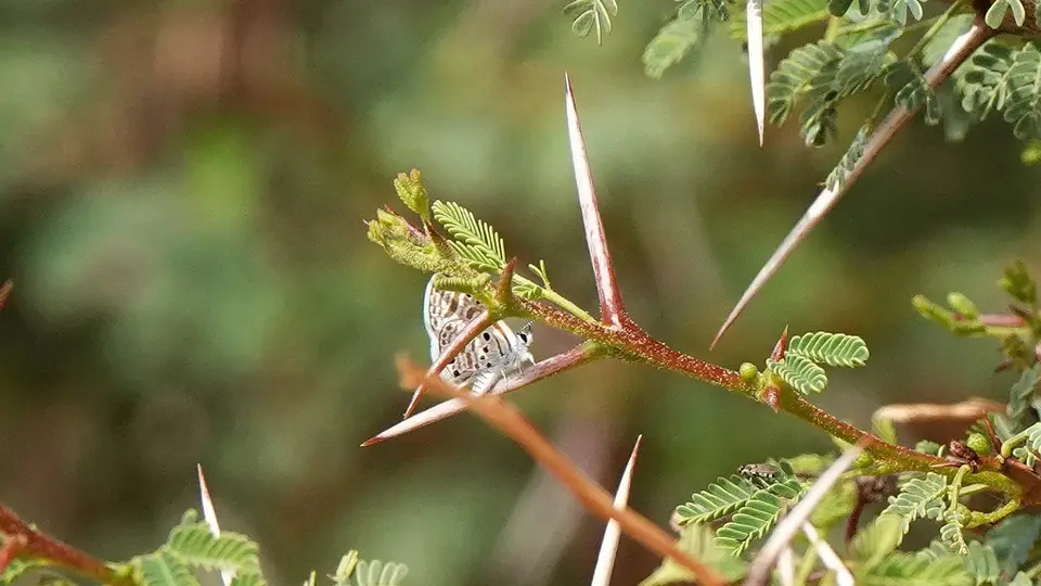 DSC03191.jpg