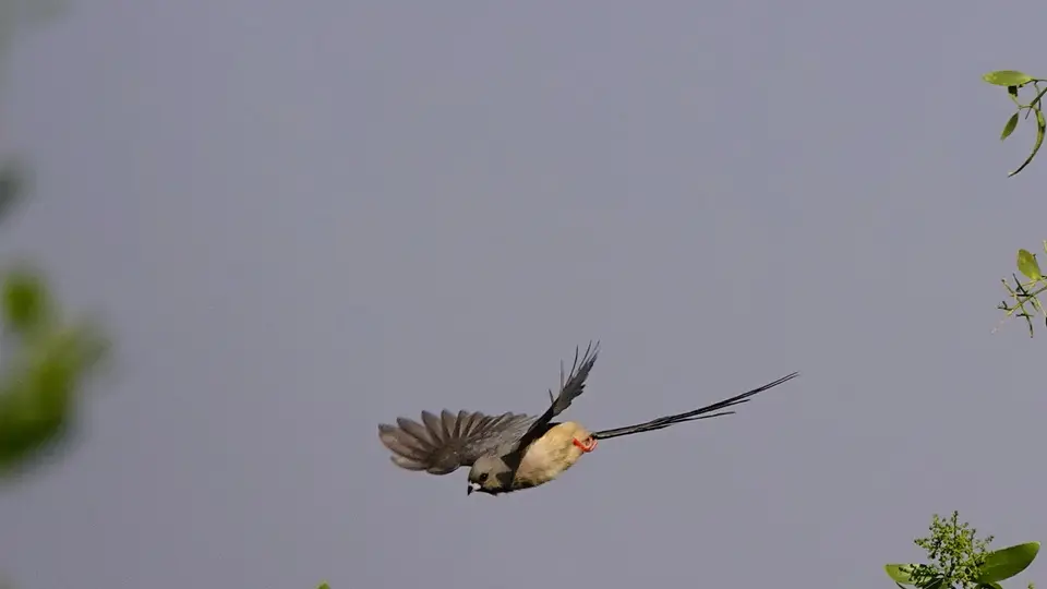 DSC07222k.JPG