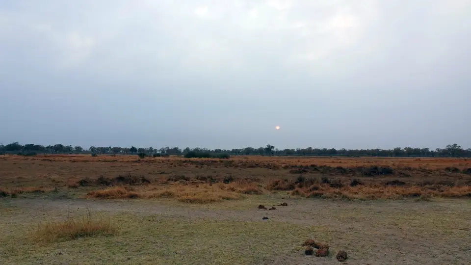 DSC07949k.jpg