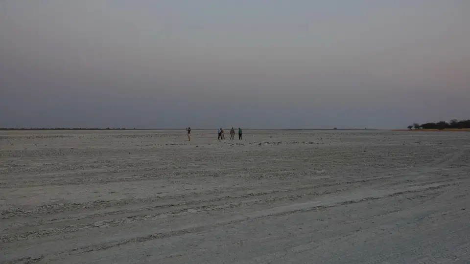DSC08380kBOT23.JPG