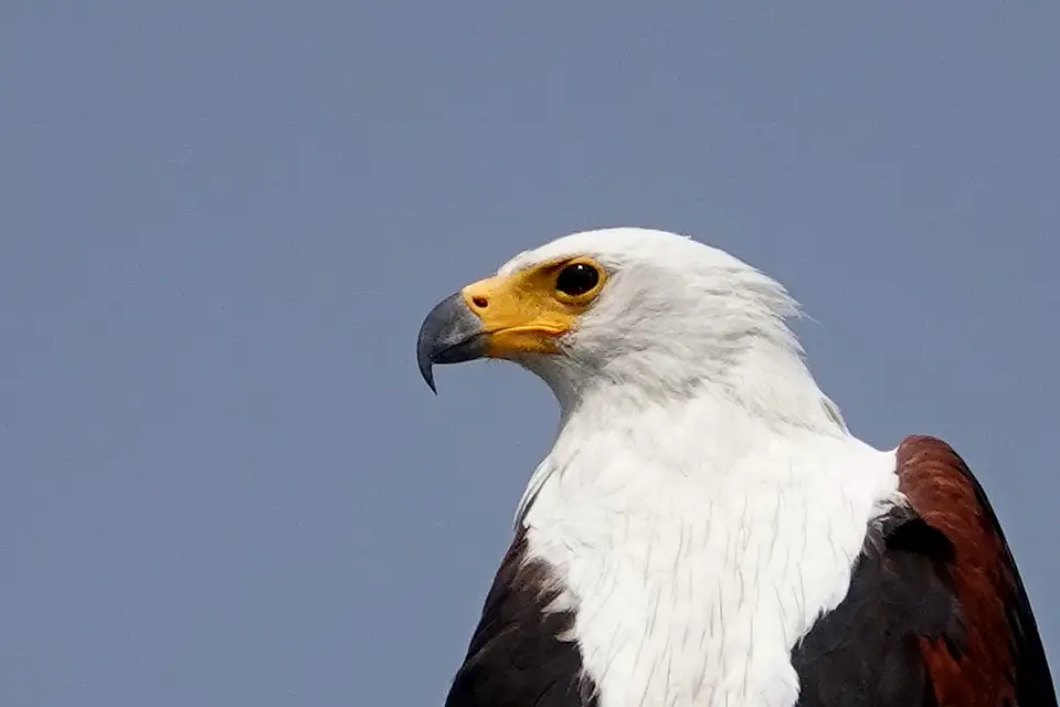 DSC08450k.JPG