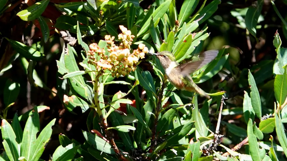 DSC09611k.JPG