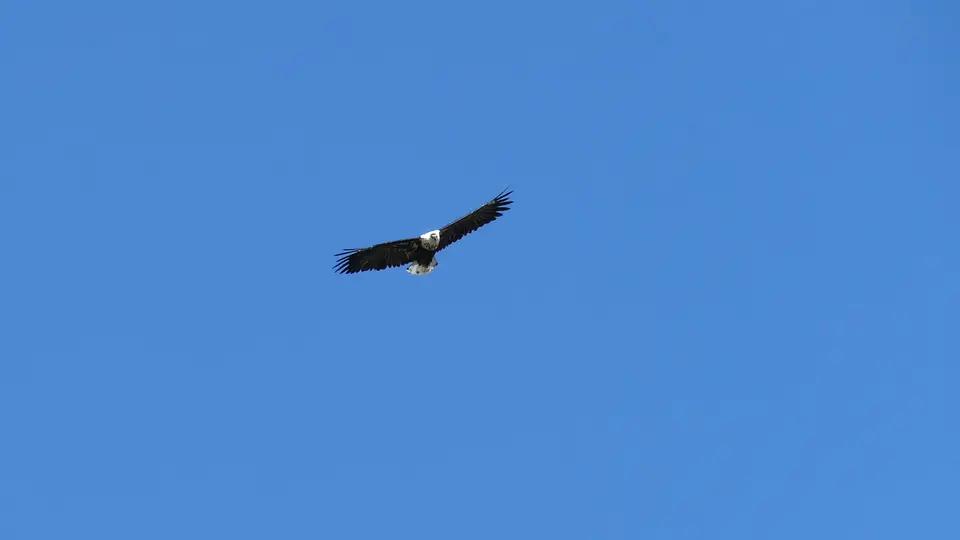 IMG_0215.JPG