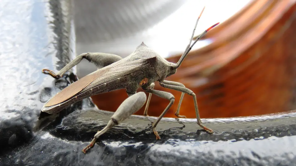 IMG_1994.JPG