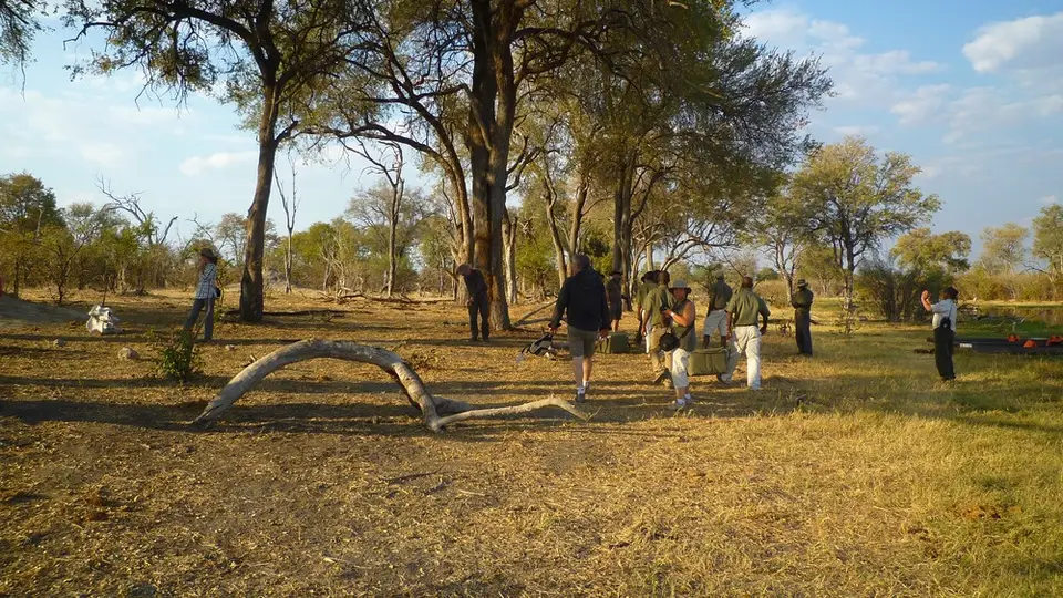 KP1100855.jpg