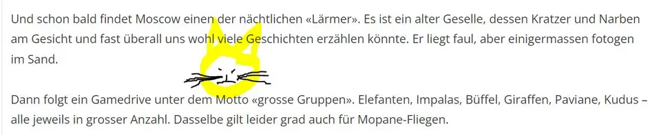 Löwe.JPG