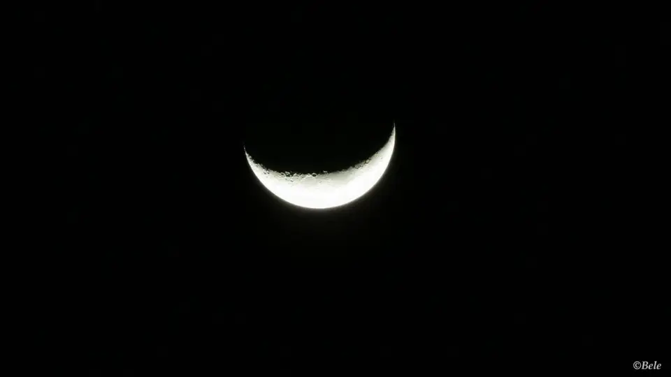 h0f2ccd9.jpg