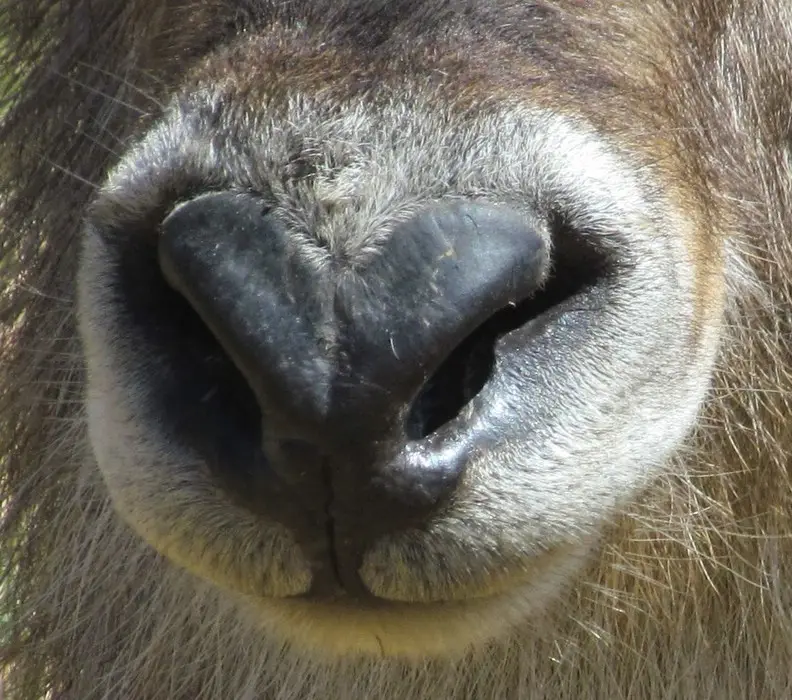 h2962726.jpg