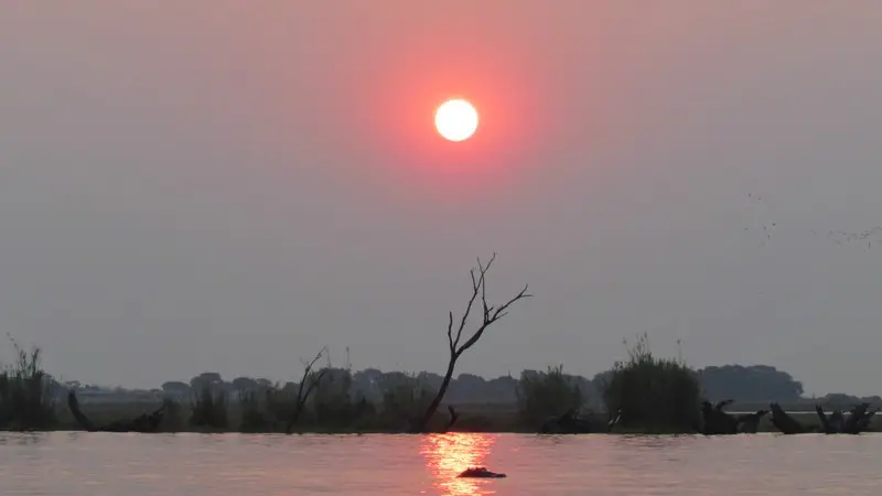 h56e863f.jpg