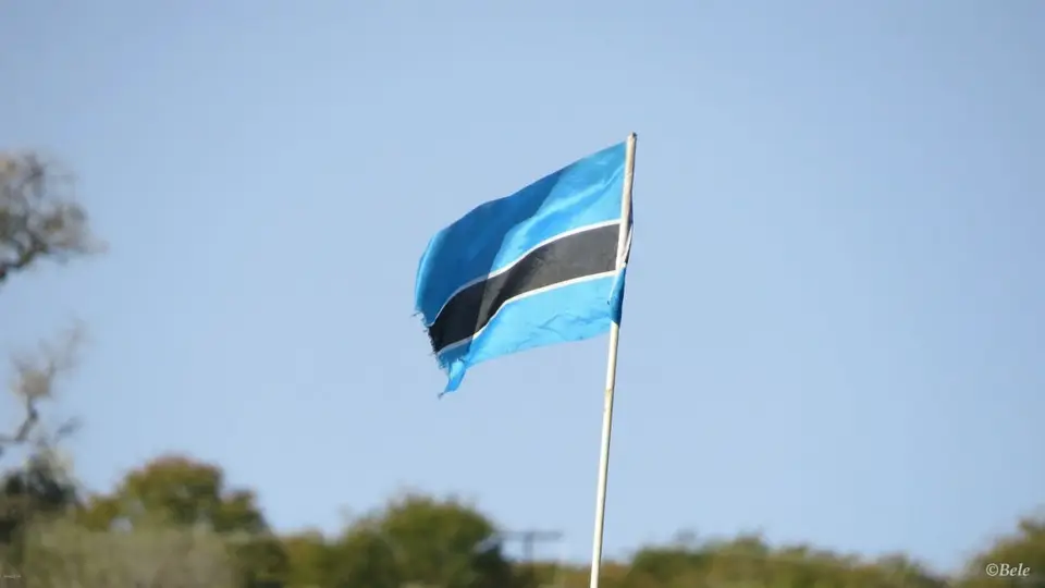 h98463c8.jpg