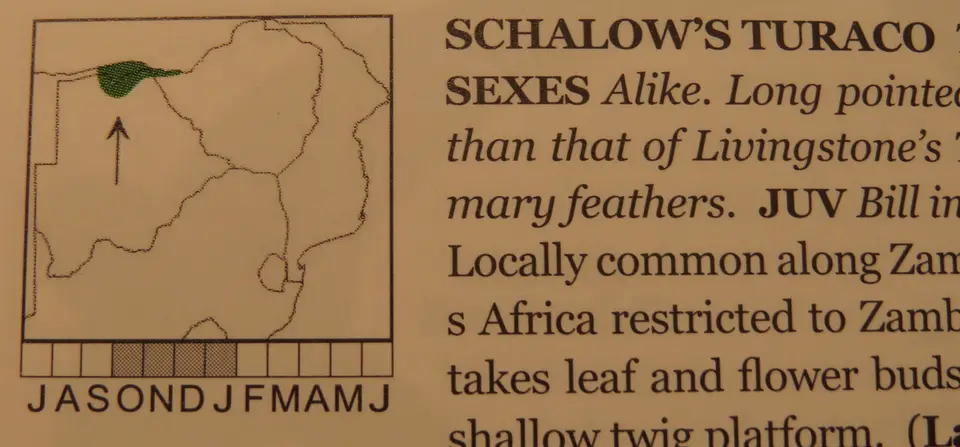 ha606bc9.JPG