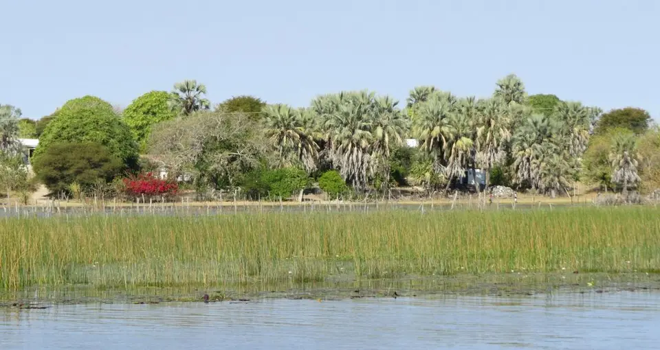 hc2654e5.jpg