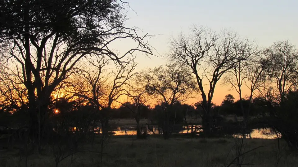 hc4436e2.jpg