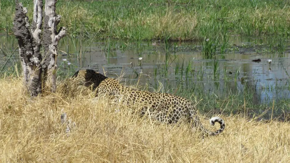 hc873085.jpg