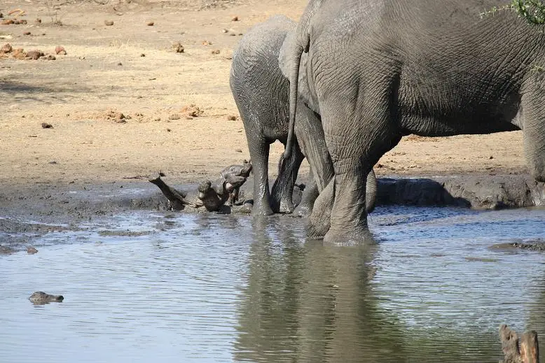 Afrika2011Canon013.JPG