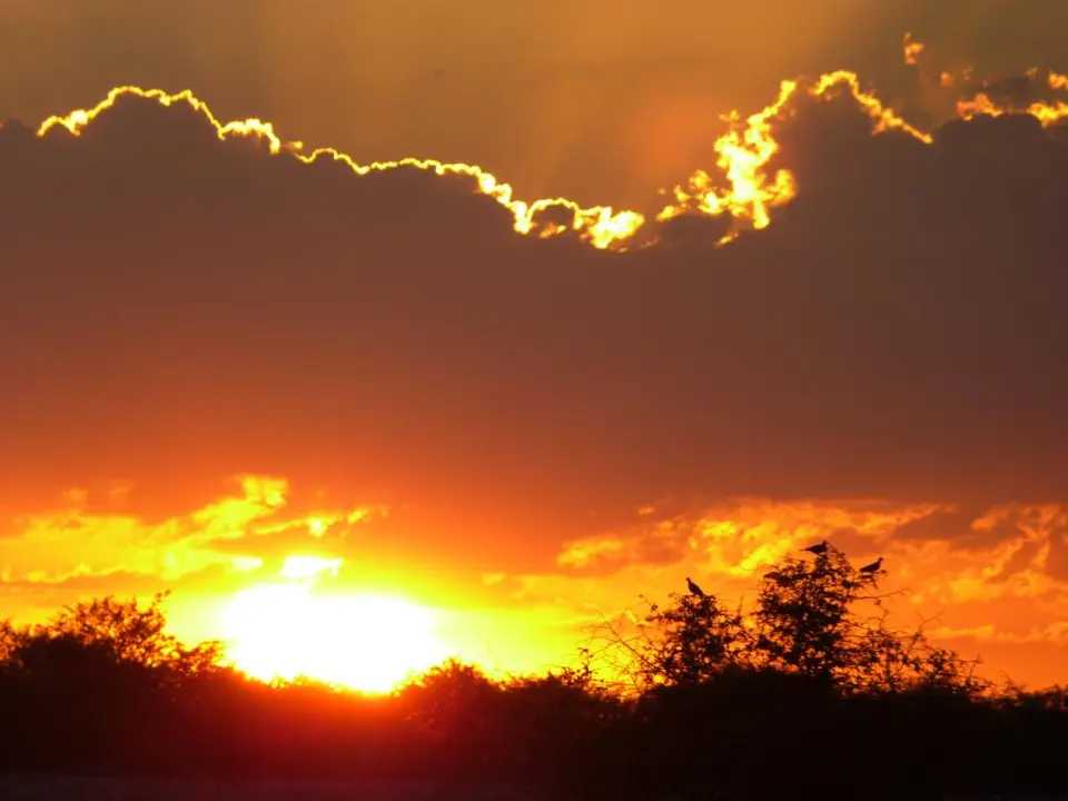 h004c450_2014-04-05.JPG