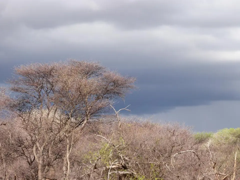 h4347041.JPG
