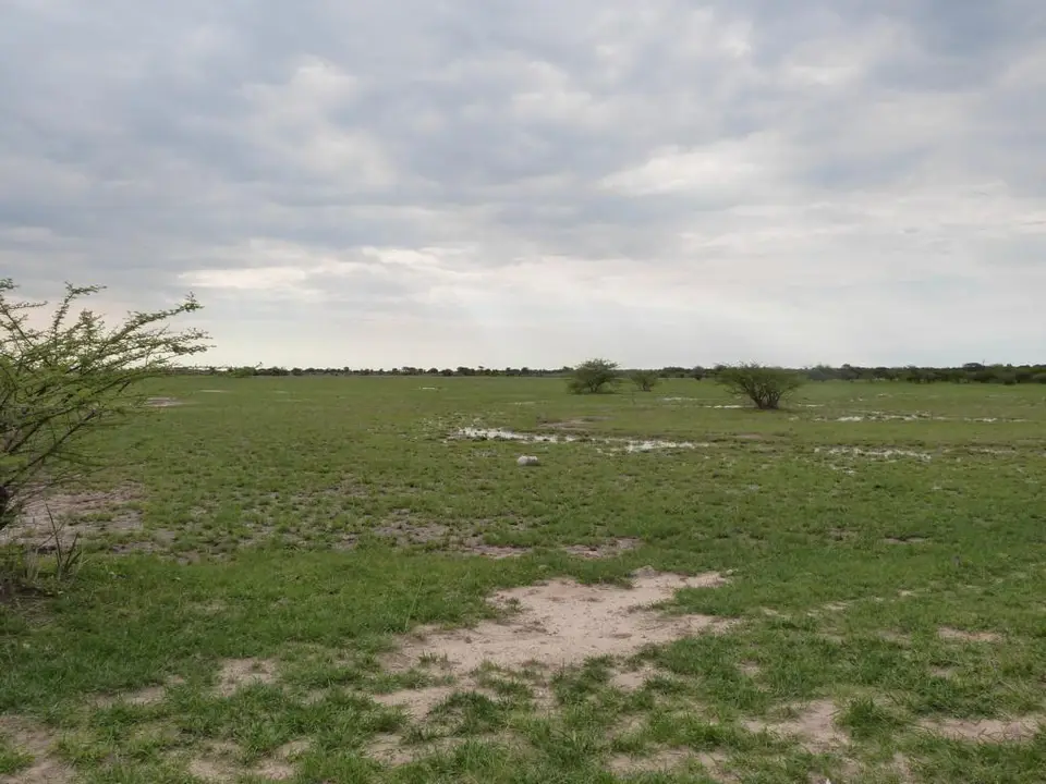 h767687e.JPG
