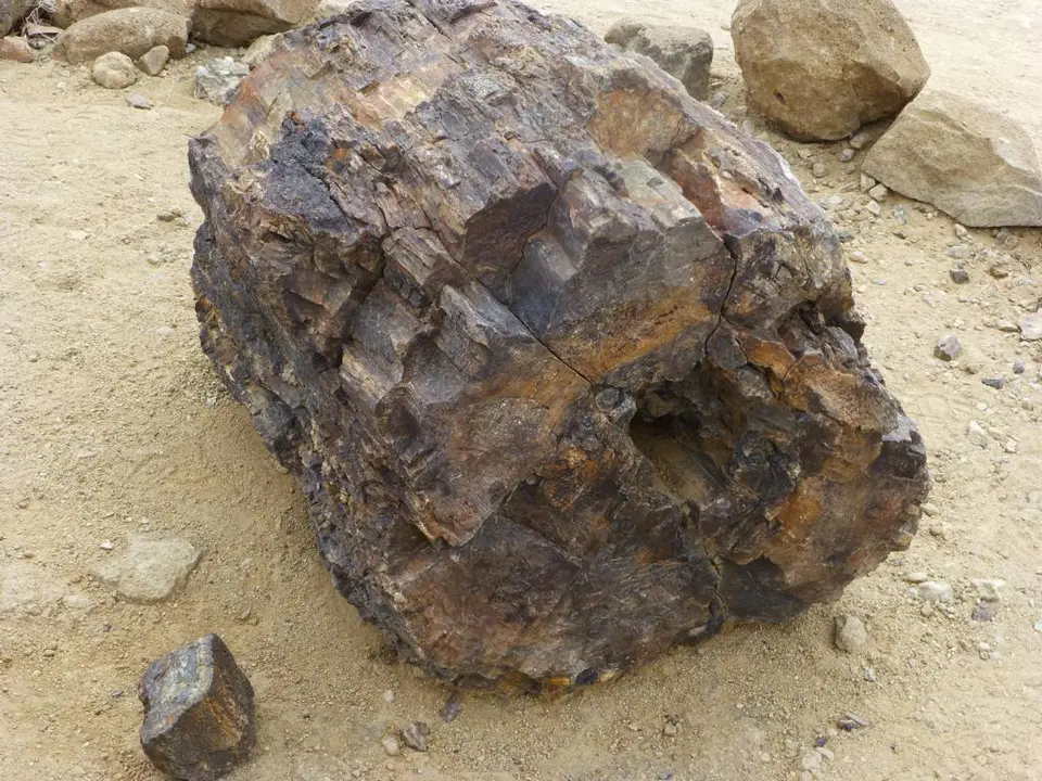 h76b9bc0.JPG