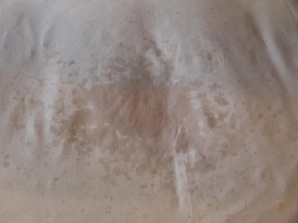 hb306b14.JPG