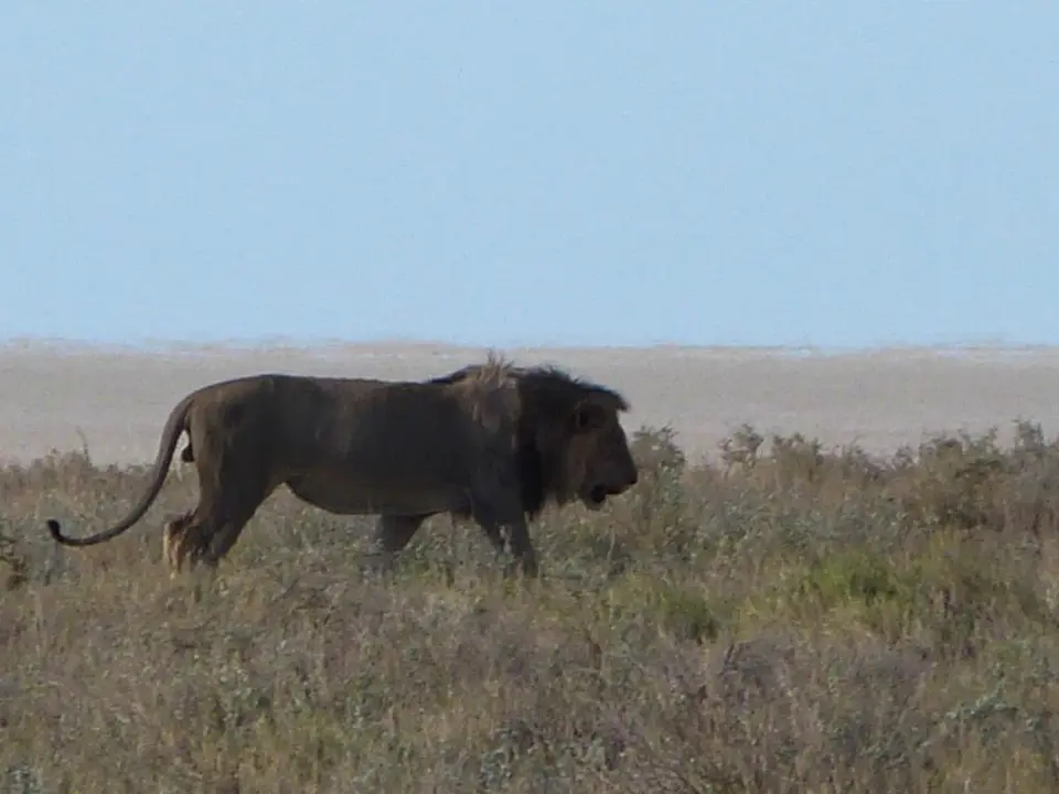 hdf54267.JPG