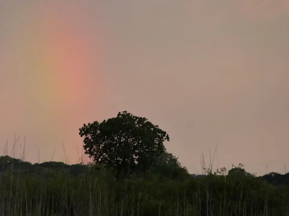 hf68d5f9.JPG