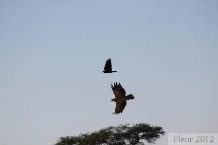 IMG_1506.JPG