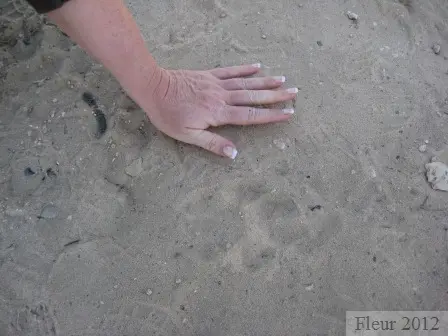 IMG_3590_2012-06-10.JPG