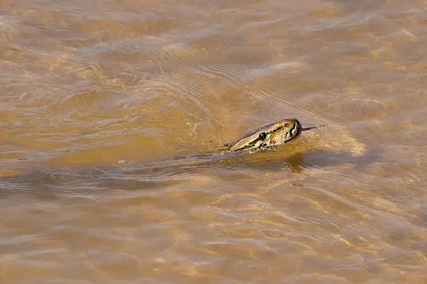 2011_08_09_09_12_40_2227.jpg